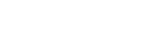 syyynch-lgoo